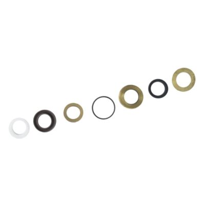 Zestaw naprawczy Interpump 59 EVOLUTION DN20 uszczelnienia pompy KIT 290